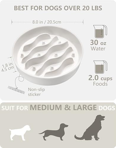 MOPANG Pet Feeder in 8 Inches, White