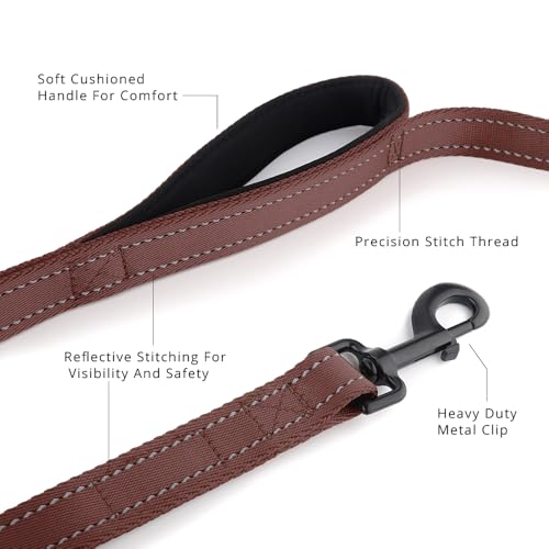 PLUTUS PET Leash in 4 FT, Chocolate