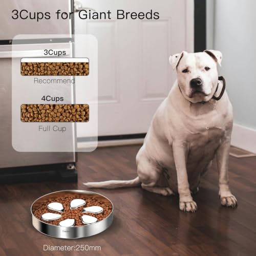 Feedoo Pet Feeder in L 3.5-Cup, Flower-1Pack