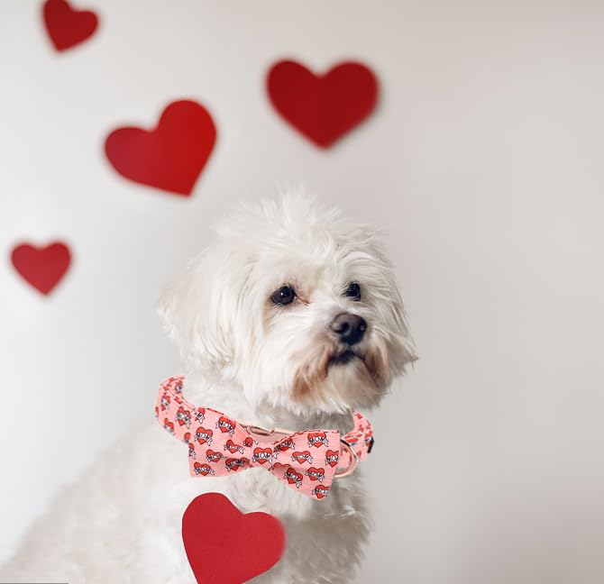 Unique style paws Animal Collar in XS, heart-bow