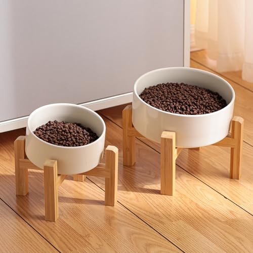 DJJJOOYS Pet Feeder in Slanted Small Dog Bowl, Beige