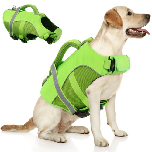 Queenmore Pet Apparel in X-Small, Green