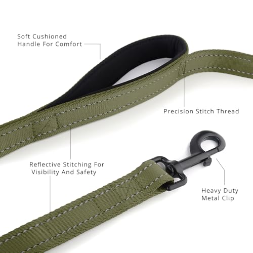 PLUTUS PET Leash in 4 FT, Ranger Green