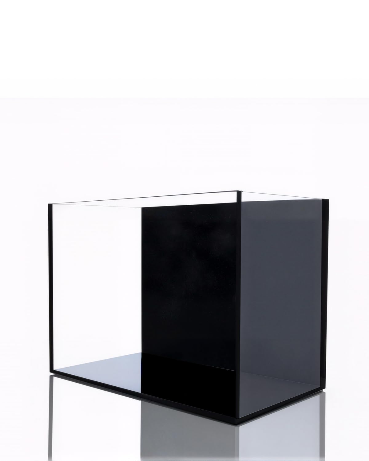 minilake Vivarium in 3 Gallon, Black