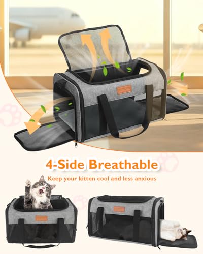 Petux Animal Carrier in 17.0"L x 11.0"W x 9.5"H, Grey