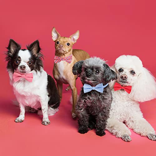 Segarty Pet Apparel in Adjustable (8.5''-15.2''), 10pcs-various