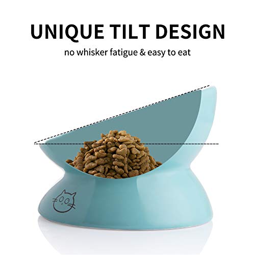 Sweejar Home Pet Feeder in 147ml, Turquoise