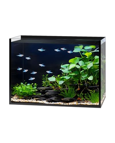 minilake Vivarium in 2.5 Gallon, Black