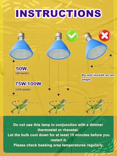 Reptispa Light Bulb in Silver