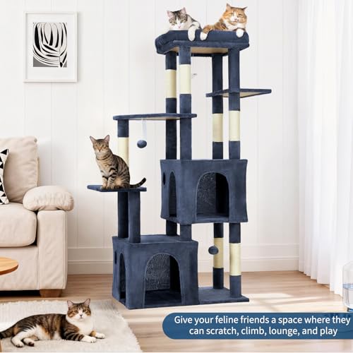 OUTLANE Pet Activity Structure in Blue, Blue