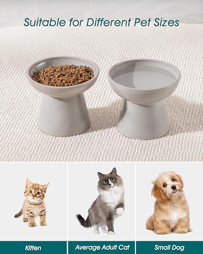 vancasso Pet Feeder in 2 Pack-Food & Water Bowls, Grey