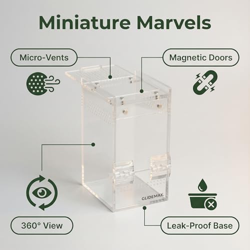 GlideMax Vivarium in 3x3x6inch, Transparent