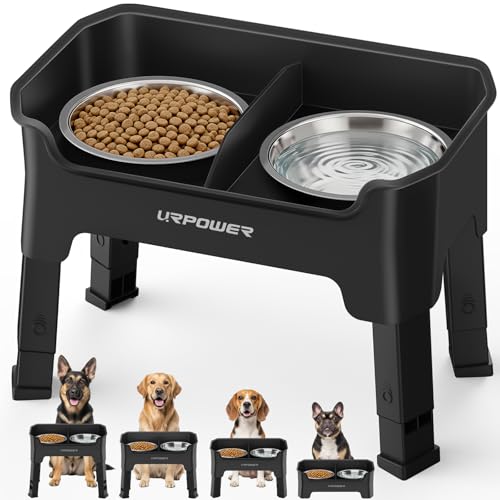URPOWER Pet Feeder in Medium, Black