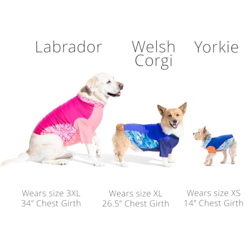 PlayaPup Pet Apparel in XX-Small, Purple Wave