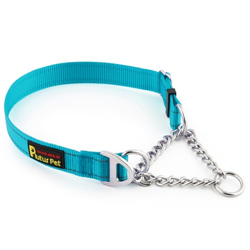 PLUTUS PET Animal Collar in Medium, Cyan