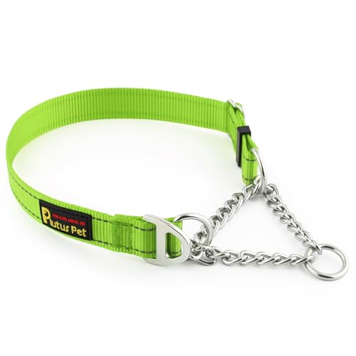 PLUTUS PET Animal Collar in Small, Lime Green