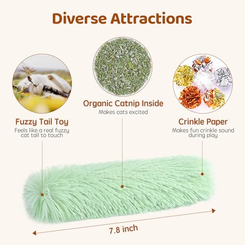Potaroma Pet Toy in 3 Count (Pack of 1), Green Yellow Violet