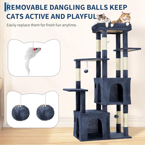 OUTLANE Pet Activity Structure in Blue, Blue