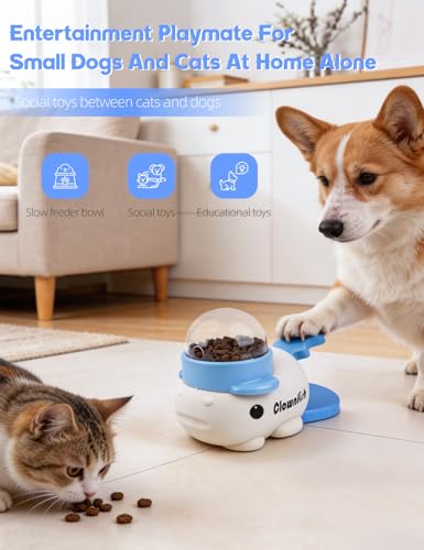 Generic Pet Feeder in blue