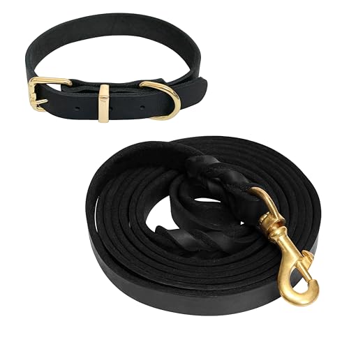 Guiding Star Leash in X-Small, Black