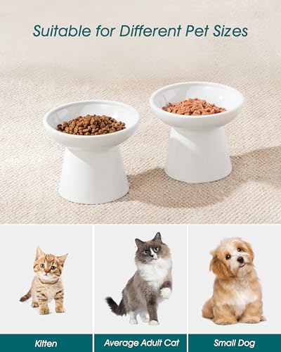 vancasso Pet Feeder in 2 Pack-Food Bowls, White