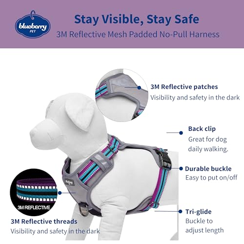 Blueberry Pet Animal Harness in Large, Violet and Celeste