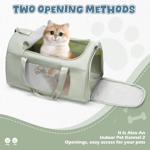 WEPLAN Animal Carrier in 17.7"L x 11.4"W x 12.5"H, A-Medium-Green
