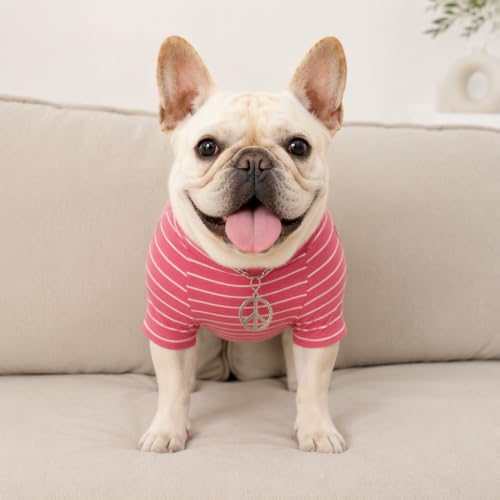 Wiz BBQT Pet Apparel in Pet XS - Chest 11.8", Pink