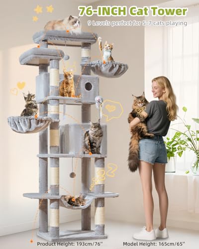 Taoqimiao Pet Activity Structure in 76 inch, Light Gray