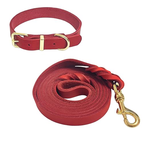 Guiding Star Leash in X-Small, Red