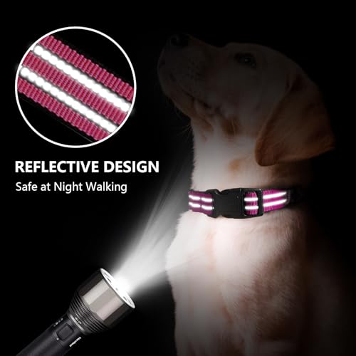 Hikiko Animal Collar in Small, Hot Pink