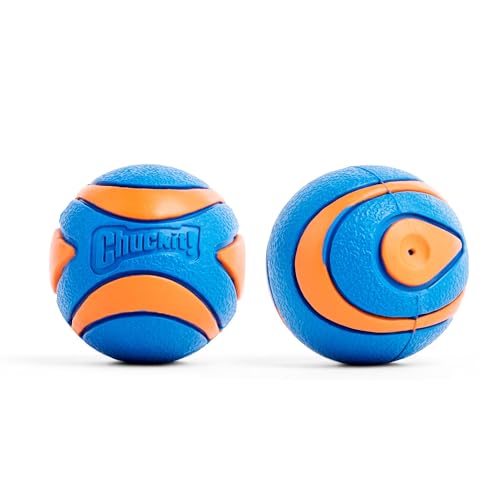 Chuckit! Pet Toy in Medium, Squeaker