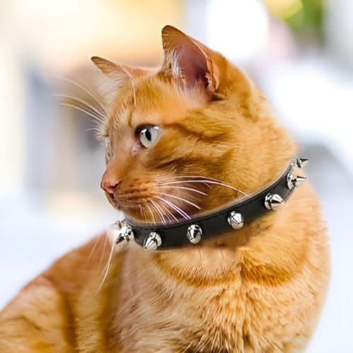 WeimoMonkey Animal Collar in X-Small(Neck7.5-10"), 40 Black