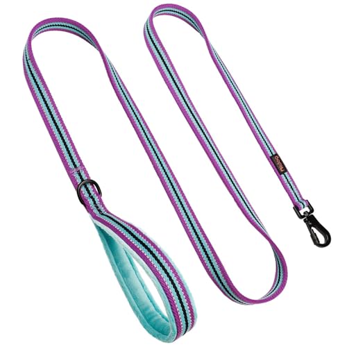 Didog Leash in 3/4''x 6 FT, Mixed-Blue