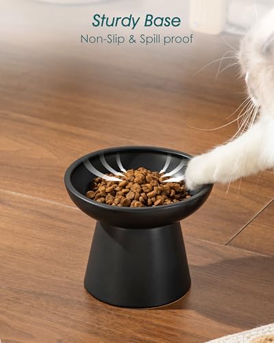 vancasso Pet Feeder in Black