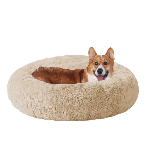 JOLLYVOGUE Pet Bed Mat in 36", Off - White