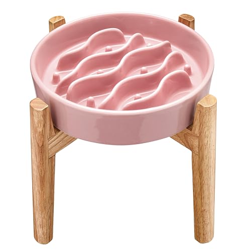 MOPANG Pet Feeder in 6 Inches, Salmon Pink + Stand