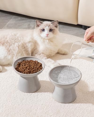 vancasso Pet Feeder in 2 Pack-Food & Water Bowls, Grey