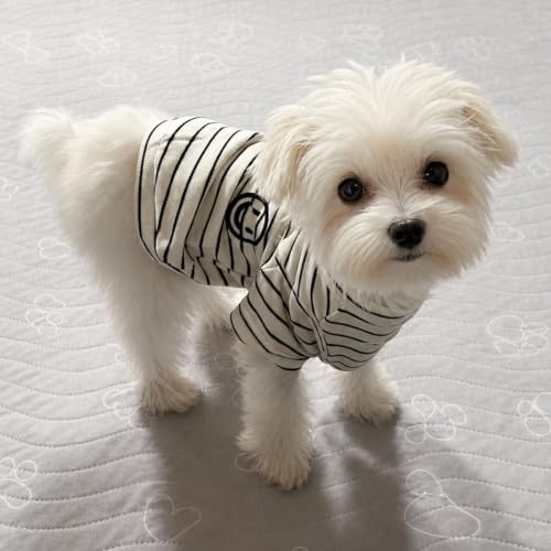 Wiz BBQT Pet Apparel in Pet XS - Chest 11.8", White