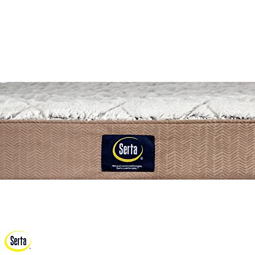 Serta Pet Bed Mat in Large, Chocolate Brown