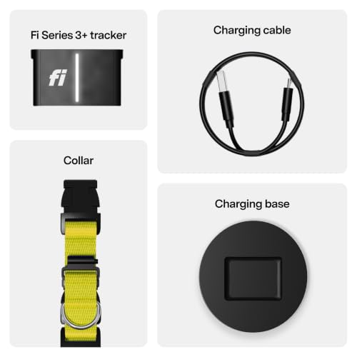 Fi Location Tracker in X-Small, Blue