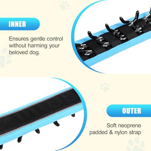 NozlaID Animal Collar in M(15"-19.5"), Blue