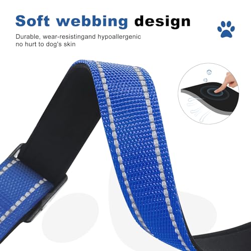 GDLKPS Animal Collar in XS:3/4" Wide for 11.5"-13.5" Neck, Blue