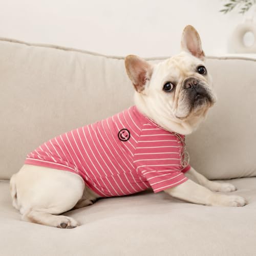 Wiz BBQT Pet Apparel in Pet XS - Chest 11.8", Pink