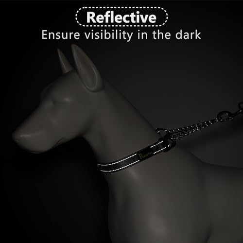PLUTUS PET Animal Collar in Small, Gray