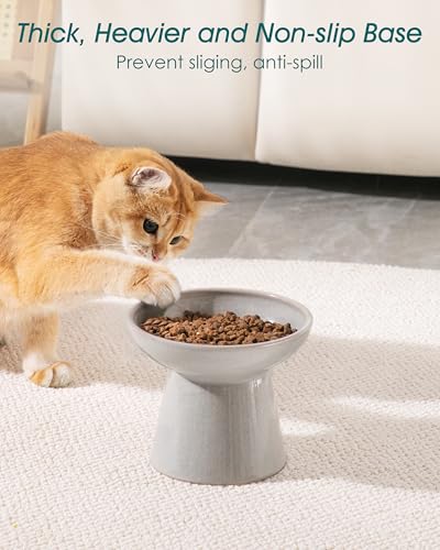 vancasso Pet Feeder in 2 Pack-Food & Water Bowls, Grey