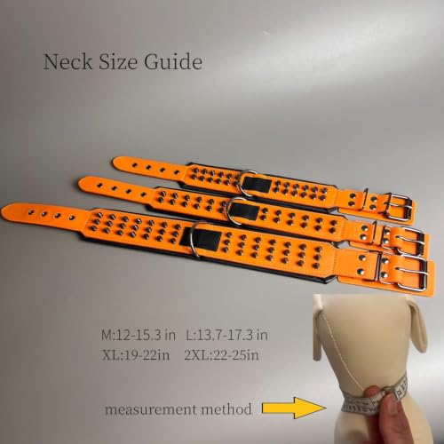 Molteriqo Animal Collar in M-neck 33-41cm, Orange