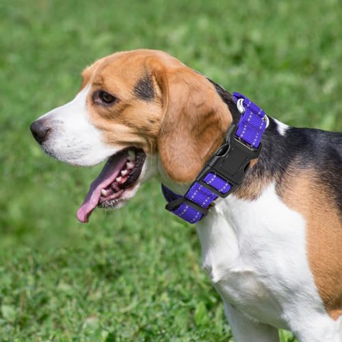 GDLKPS Animal Collar in XS:3/4" Wide for 11.5"-13.5" Neck, Purple