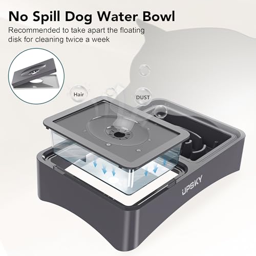 UPSKY Pet Feeder in A-Water Bowl+Slow Feeder (Grey)