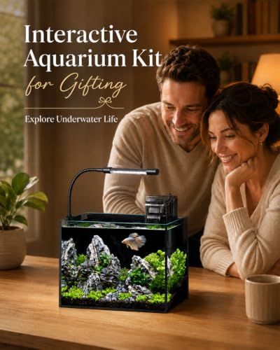 minilake Vivarium in 2.5 Gallon, Black